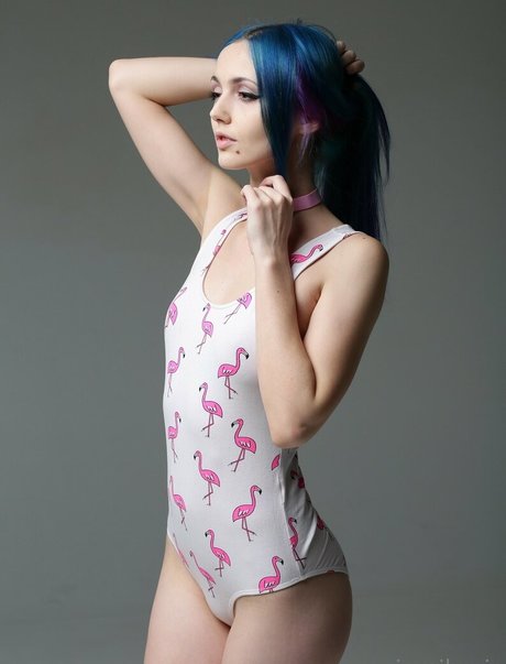 Siasiberiafree