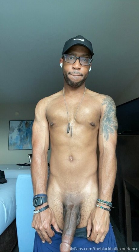 Theblackbullexperience