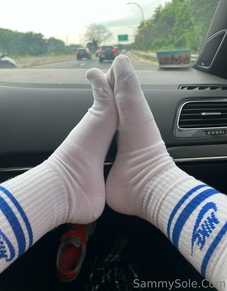 Sammysole