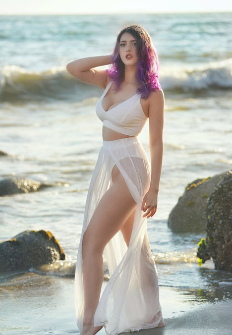 Candylioncos
