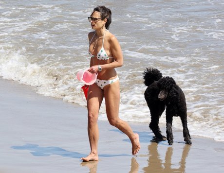 Jordana Brewster