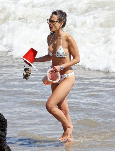 Jordana Brewster