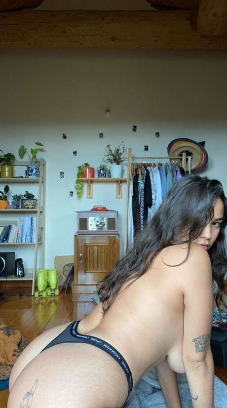 Foto di nudo di fuga di OnlyFans di Sugarplumpprincess