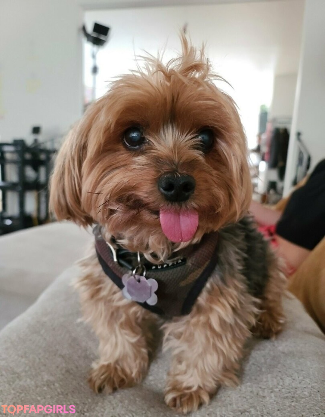 Foto di nudo di fuga di OnlyFans di Nakedbakers #440 Foto di nudo di fuga di OnlyFans di Nakedbakers #440