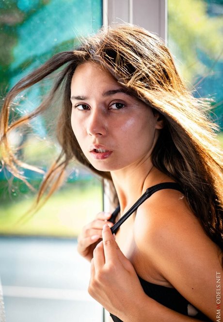 Charmmodels