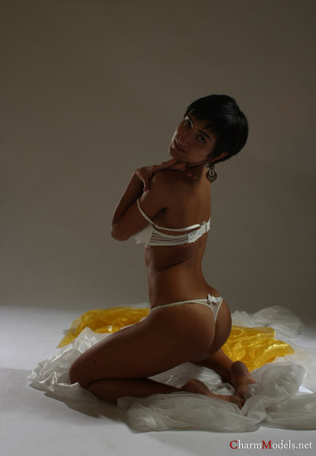 Charmmodels