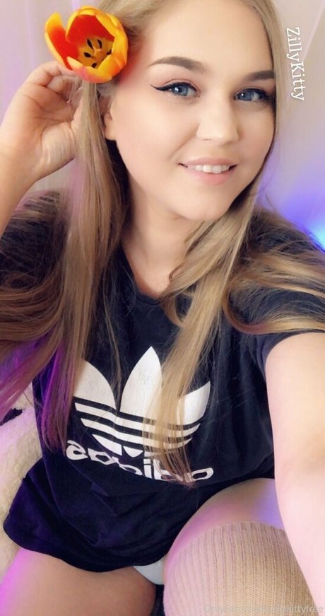 Zillykittyfree