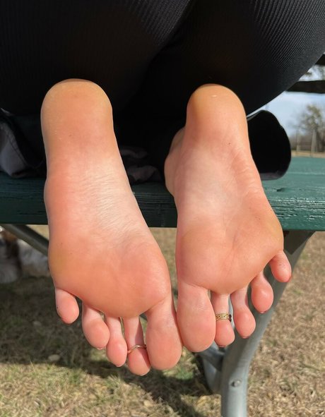 Gingerstoesies