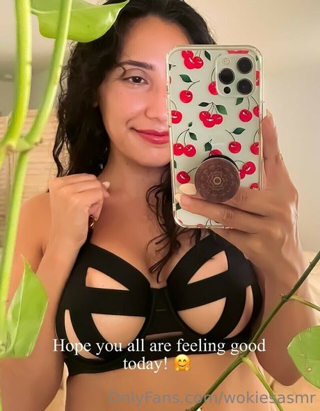Wokies Asmr