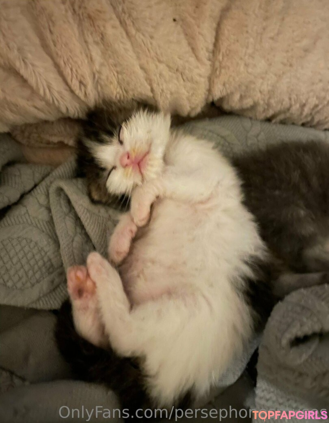 Foto di nudo di fuga di OnlyFans di Persephonesmuses #16 Foto di nudo di fuga di OnlyFans di Persephonesmuses #16