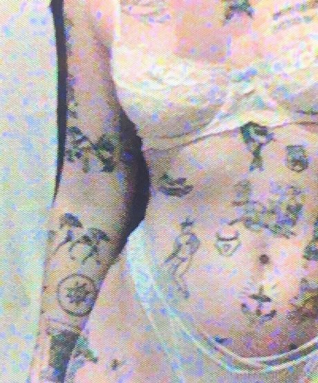 Foto di nudo di fuga di OnlyFans di Velvetears