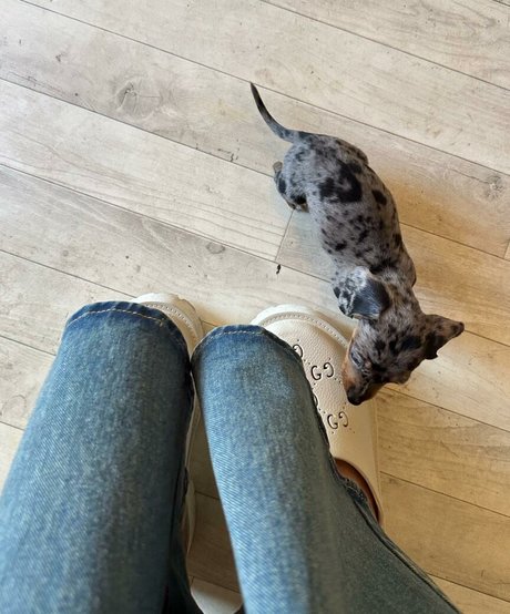 Danielle Tilly Wright