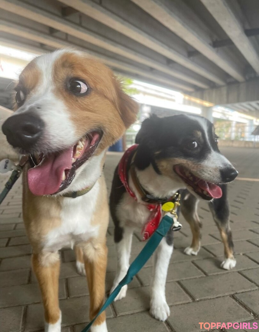 Foto di nudo di fuga di OnlyFans di Courtney Taylor #189 Foto di nudo di fuga di OnlyFans di Courtney Taylor #189