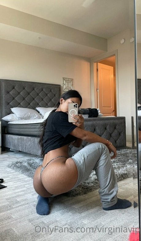Virginasanhousefree
