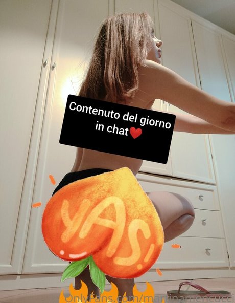 Foto di nudo di fuga di OnlyFans di Martinamencucci