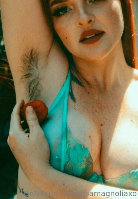 Rosamagnoliaxo