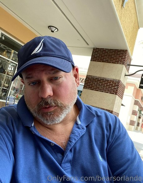 Bearsorlando