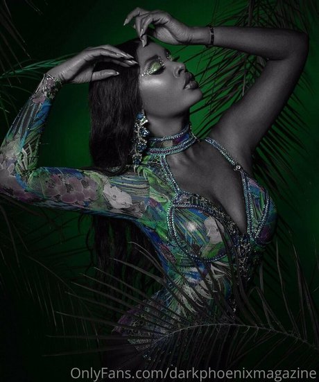 Darkphoenixvip