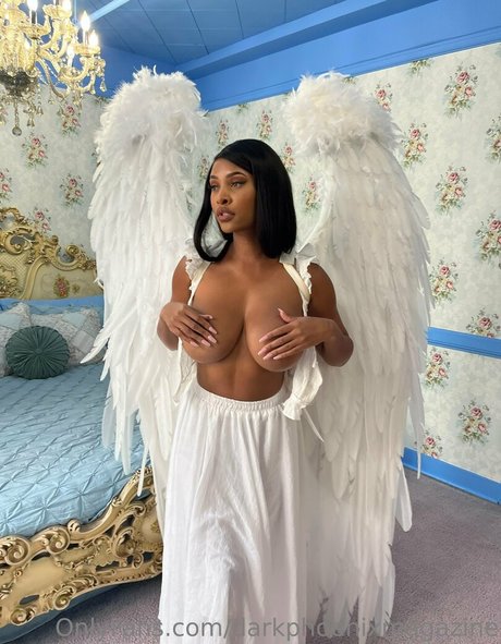Darkphoenixvip