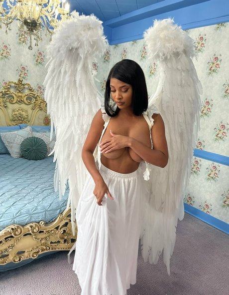Darkphoenixvip