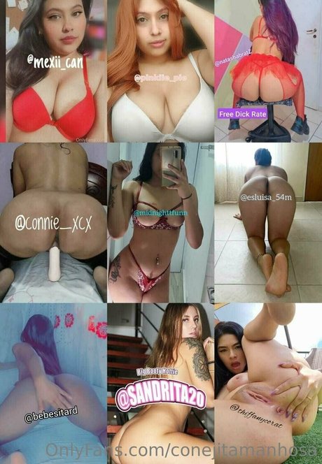 Foto di nudo di fuga di OnlyFans di Conejitamanhosa