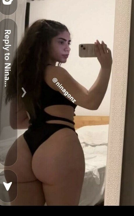 Foto di nudo di fuga di OnlyFans di Ninagonz