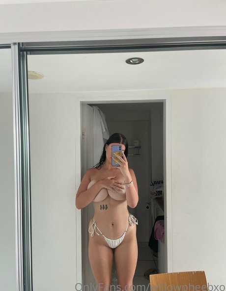 Foto di nudo di fuga di OnlyFans di Phoebewillow