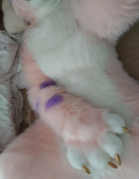 Foto di nudo di fuga di OnlyFans di Kinkypinkkitty