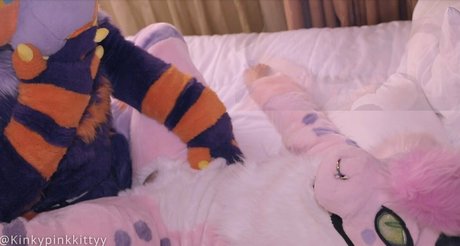 Foto di nudo di fuga di OnlyFans di Kinkypinkkitty