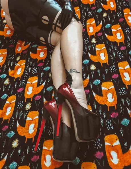 Latex_fox