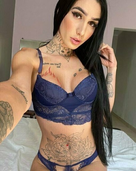 Marceladimovfree