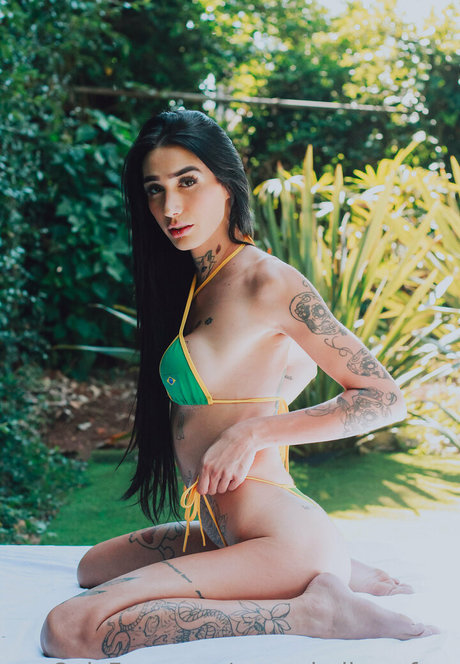 Marceladimovfree