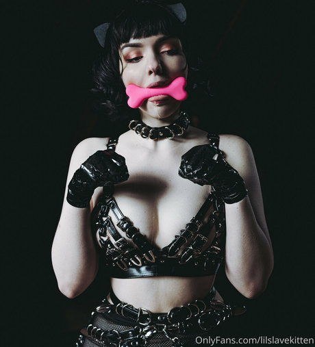 Foto di nudo di fuga di OnlyFans di Lilslvkitten