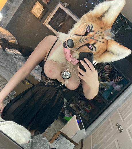 Lividpuppy