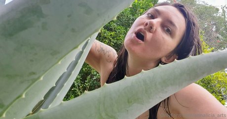 Foto di nudo di fuga di OnlyFans di Annaliciaarts