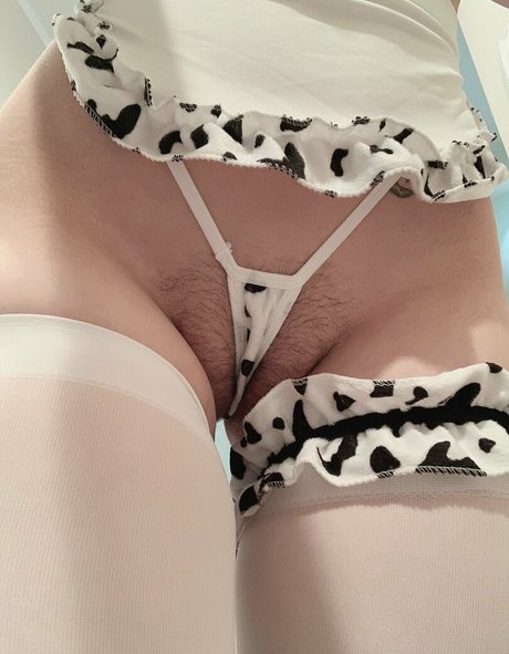 Thicc Kitty