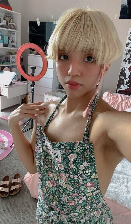 Imedenthefairy