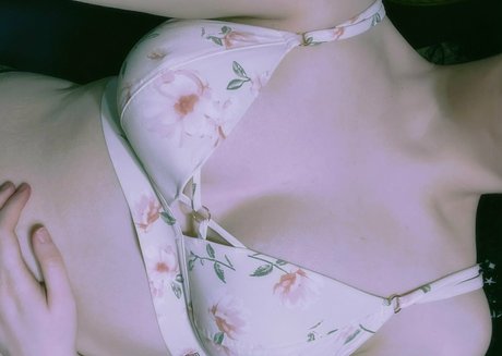 Honeybeestings