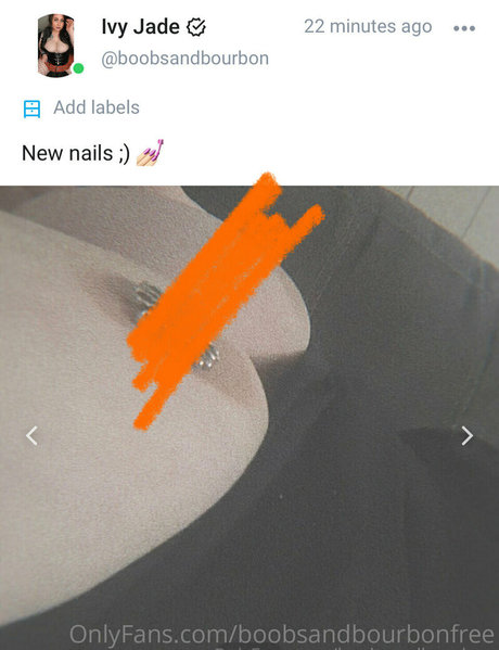 Foto di nudo di fuga di OnlyFans di Boobsandbourbonfree