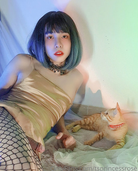 Tsprincessrose