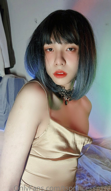 Foto di nudo di fuga di OnlyFans di Tsprincessrose
