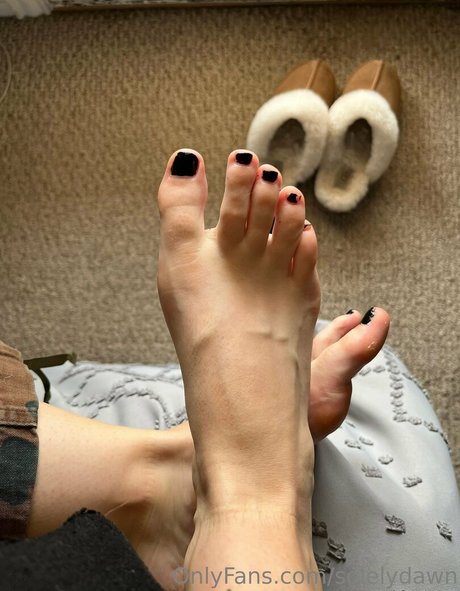 Solelydawn