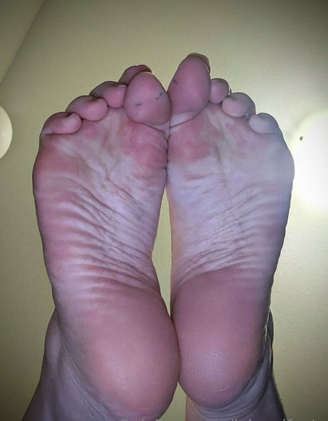 Lelannifeets