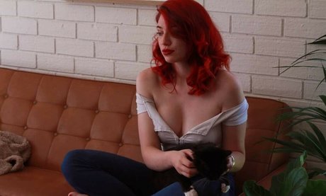 Knightsinclair