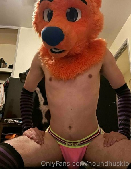 Houndhuskio