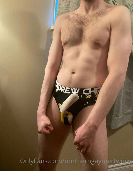 Northerngaymertwinks