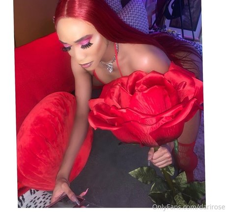 Darirose