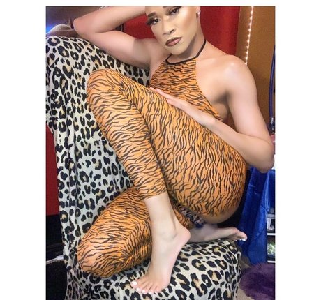 Darirose