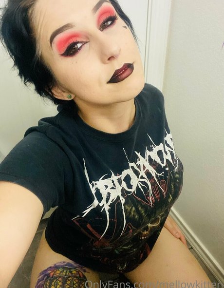 Mellowkitten